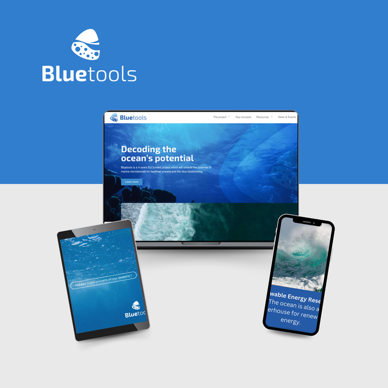 Comms Project Manager Bluetools