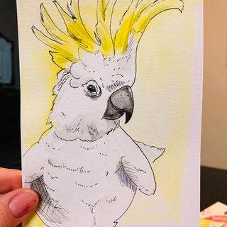 2019_20_Birdtober_Cockatoo.JPG