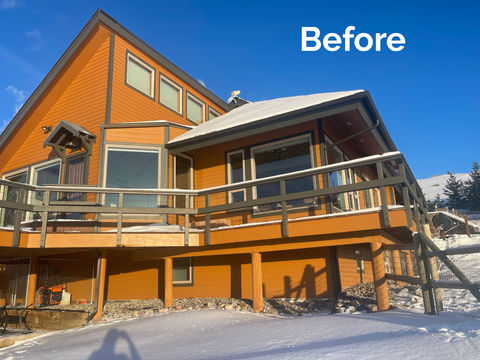 Bobcat Painting Bozeman