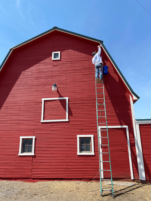emigrant painters