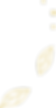 葉っぱ