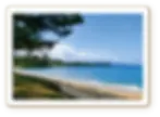 海