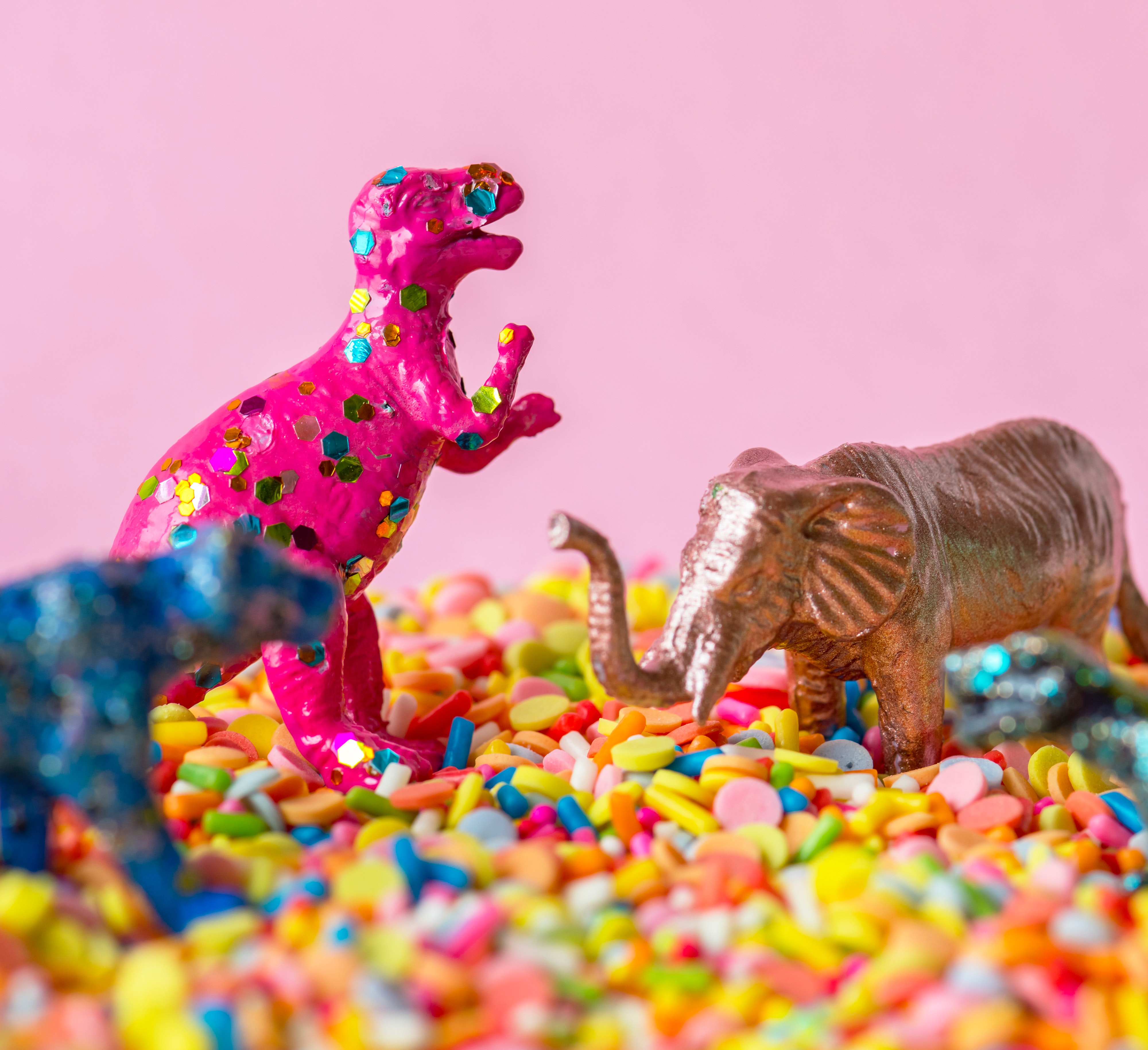 Rawr Party Coming Soon
