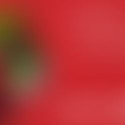 BILTEN 2 – SVEČANO OTVARANJE FESTIVALA