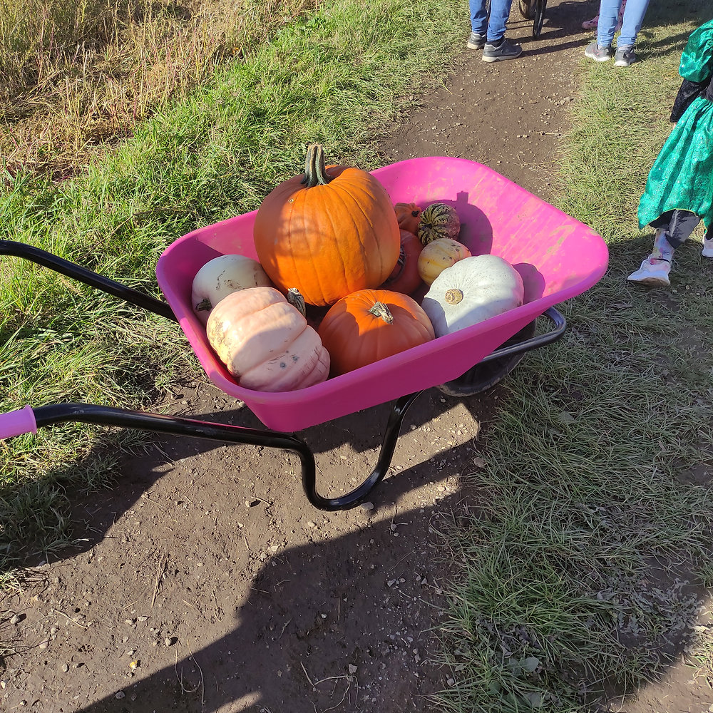 Halloween And October Half Term Events 2023 Halloween And October Half Term Events 2023