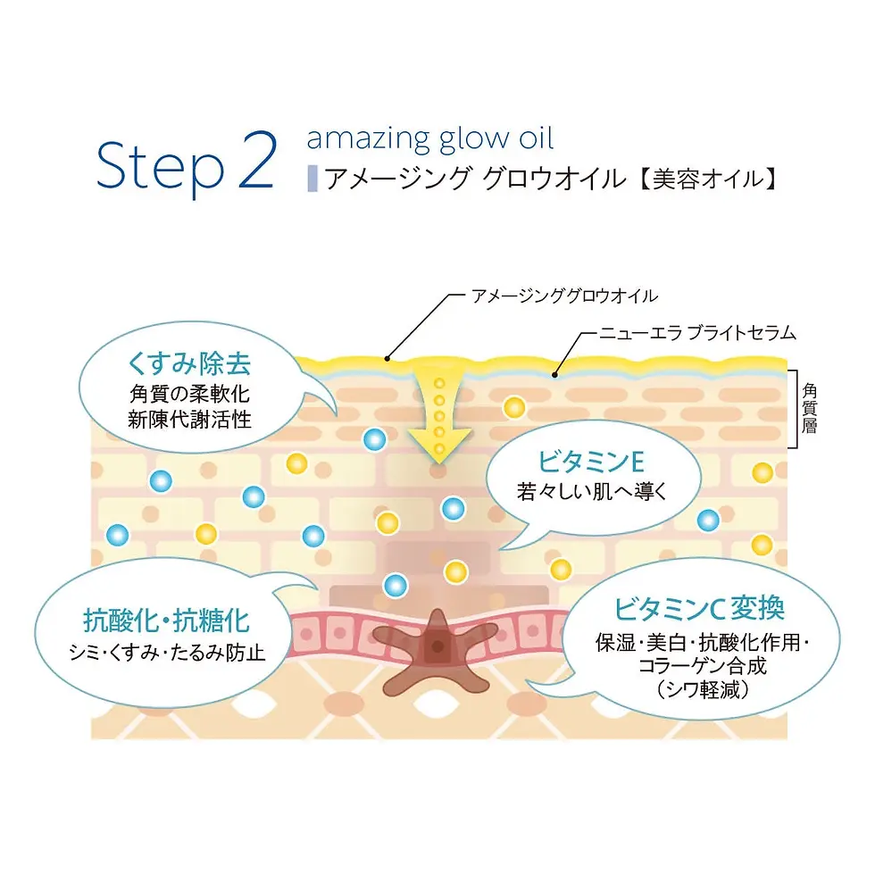 ラボプラス ADノーブル アルティメットセットWH | 美后
