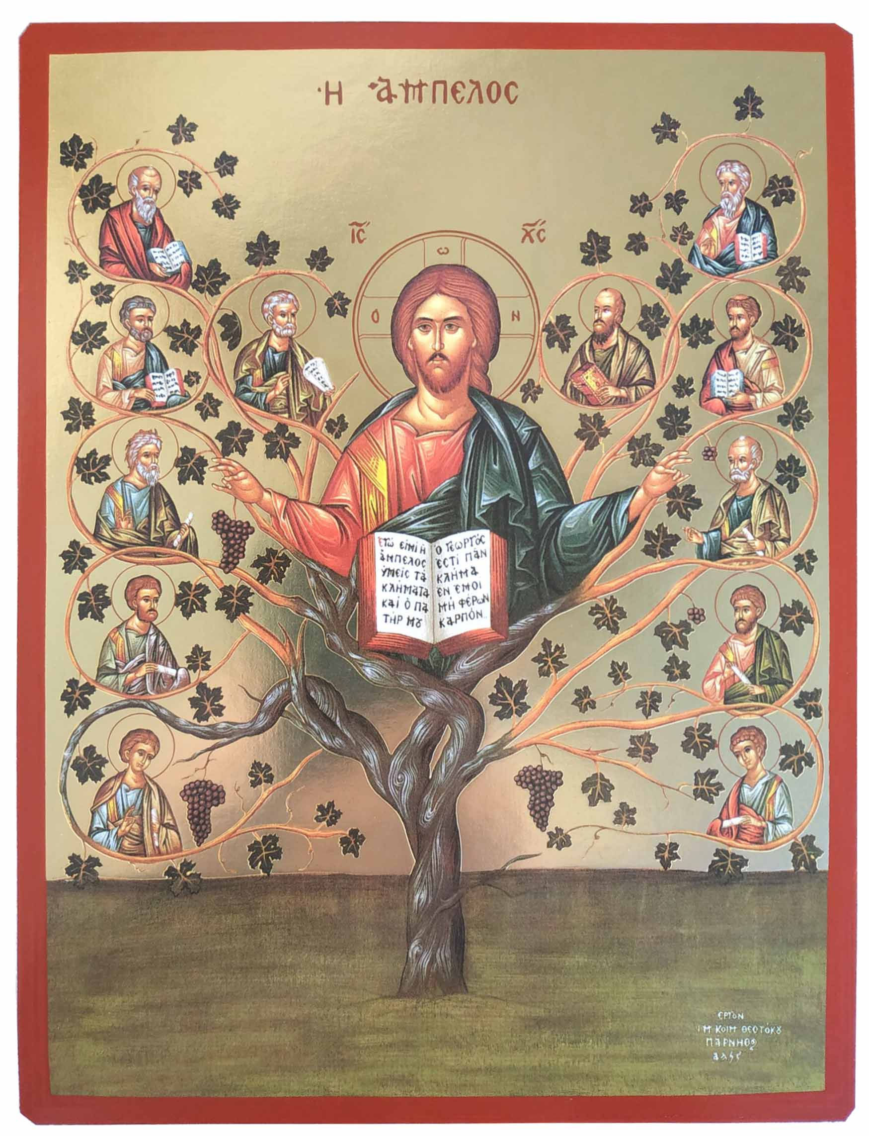 ΧΡΙΣΤΟΣ, Η ΑΜΠΕΛΟΣ