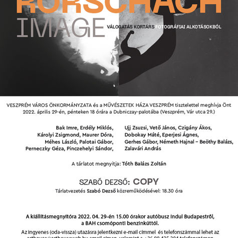 RORSCHACH IMAGE