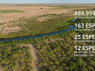 Día Mundial del Agua: Acciones a implementar por las empresas para un futuro sustentable