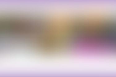 Reúnen experiencias internacionales para fortalecer el Presupuesto Participativo en la CDMX