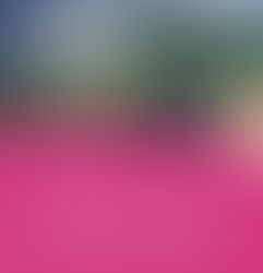 Conectando Sueños México: ASETUR y Hughes firman alianza para impulsar el turismo comunitario a través de conectividad satelital