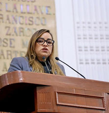 GPPAN exige descalificar la opacidad en el Muro de la Intolerancia del Estado