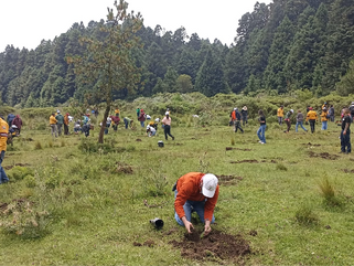Nación Verde llama a fortalecer la restauración ecológica, infraestructura verde y recuperación de suelos para enfrentar escasez de agua