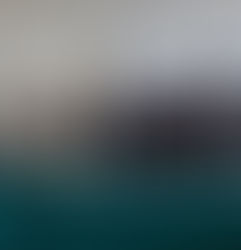 Legisladores y organizaciones civiles dialogan sobre elaboración del PGD de la CDMX