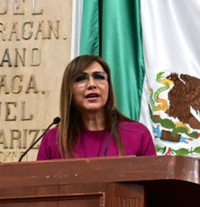 Miriam Saldaña presenta iniciativa para combatir ruido excesivo y luces intensas