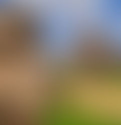 Más de 19 millones de personas visitaron museos y zonas arqueológicas de México en los primeros 11 meses de 2025