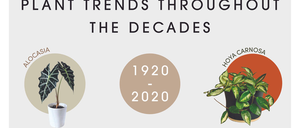 Plant Trends Throughout the Decades (1920-2020)
