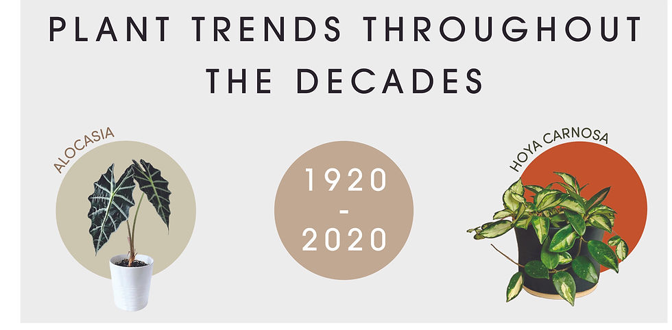 Plant Trends Throughout the Decades (1920-2020)