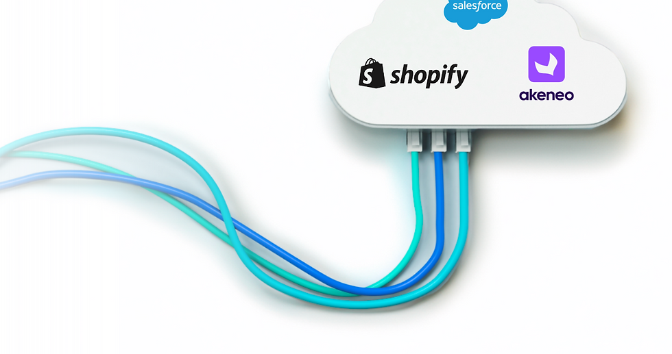Salesforce CRM, Akeneo PIM und Shopify Spezialist
