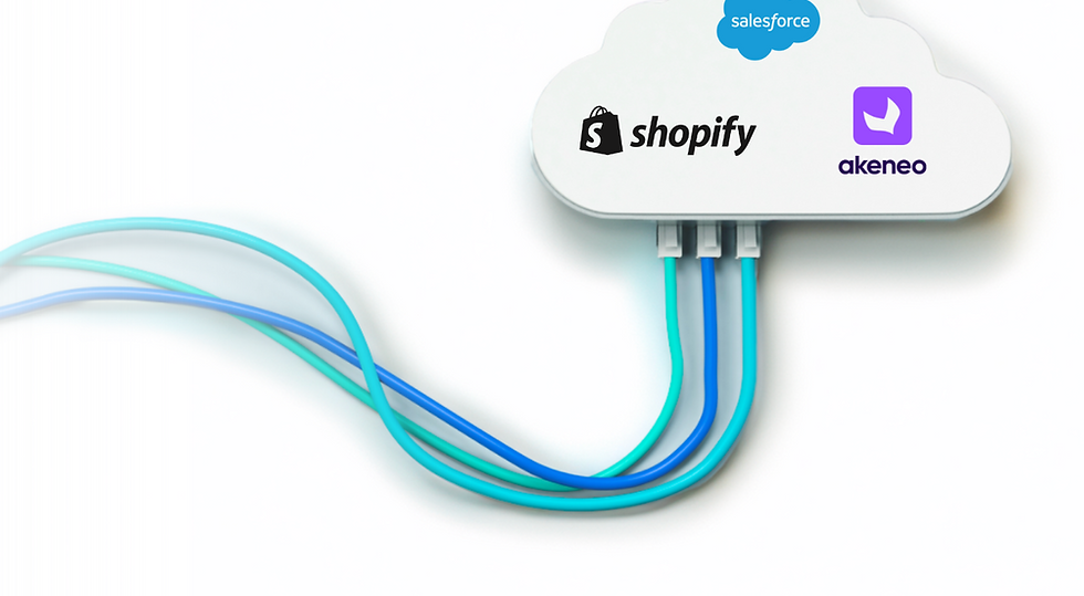 Salesforce CRM, Akeneo PIM und Shopify Spezialist