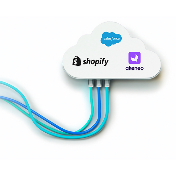 Arcadyx Partners Salesforce, Shopify, Akeneo