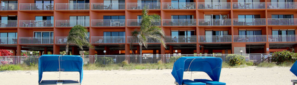 Screen Shot 2021-11-08 at 12.54.15 PM.png