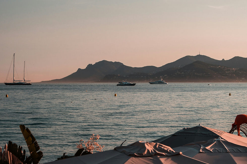 Slow the F*ck Down does Cannes