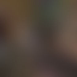 Discover the beauty and potential of DRC with Compagnie Hoteliere et Immobiliere du Congo