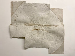 cut tree ring paper sculpture 