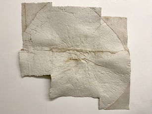 cut tree ring paper sculpture