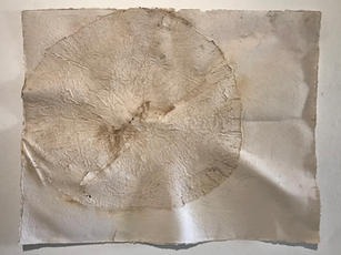 paper sculpture with embossed tree trunk