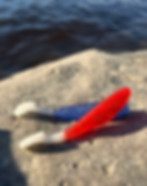 image0.jpeg