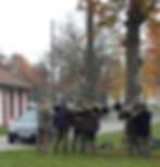 Honneurs au Gibier