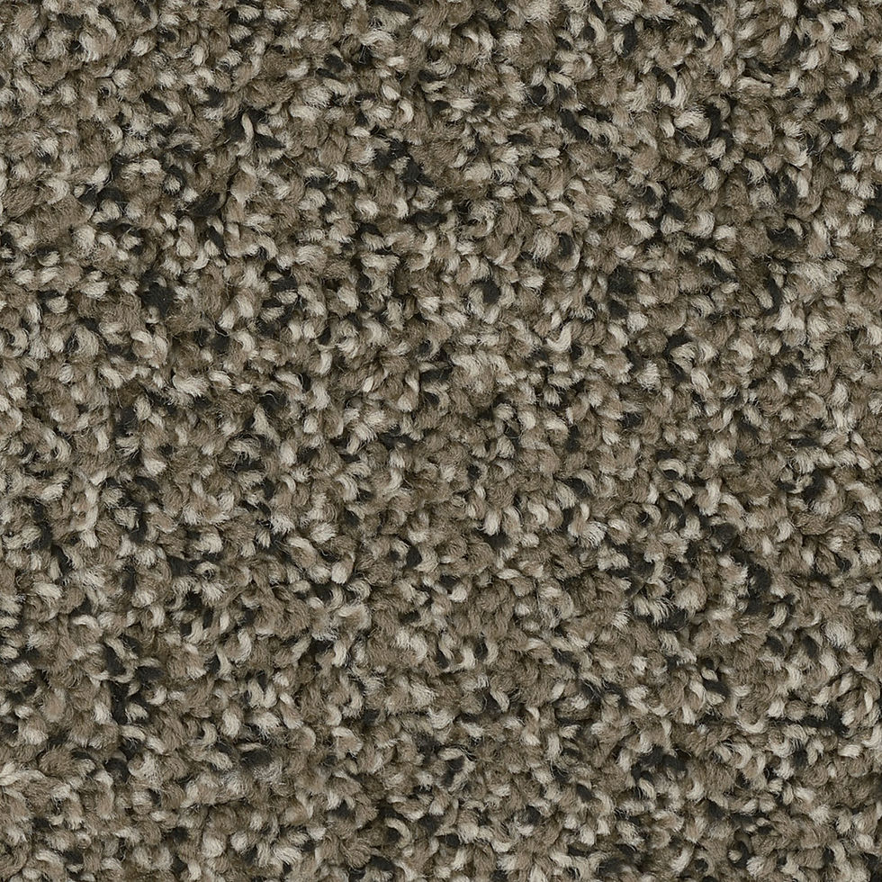Thumbnail: Carpet Shady Lane