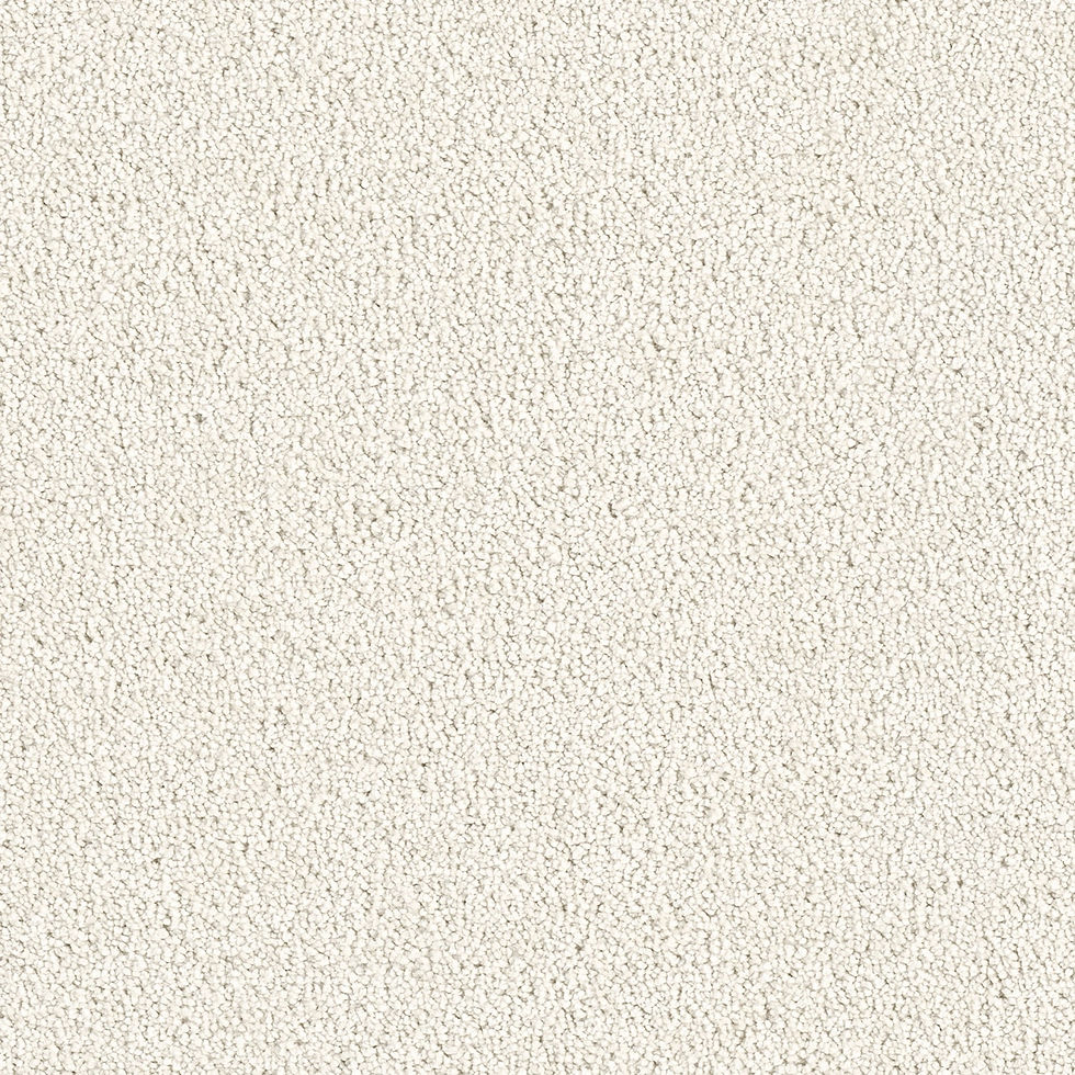 Thumbnail: Carpet Moments (2/2)
