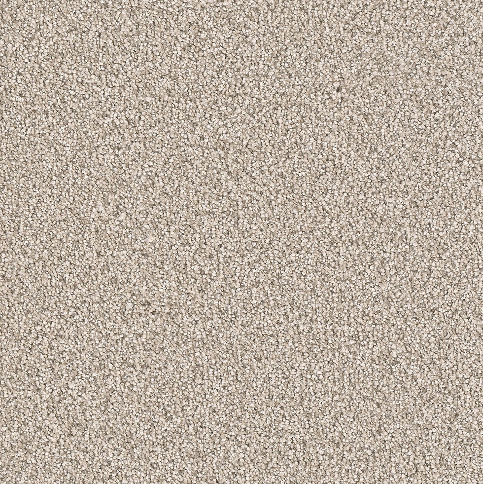 Thumbnail: Carpet Moments (2/2)