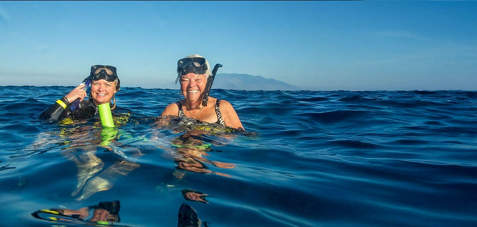 Screenshot 2026-02-18 at 4.55.39 PM.jpg