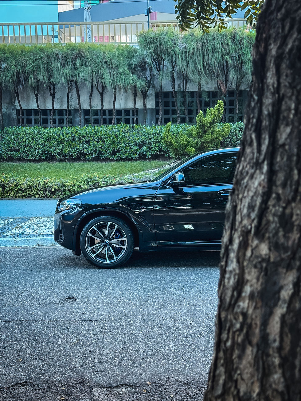 Miniatura: BMW X4 XDrive 30i 252cv 2025