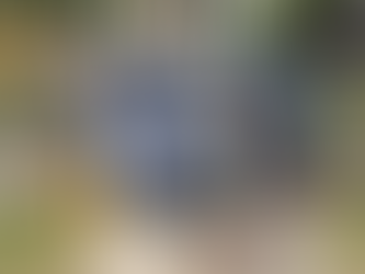 ¿Por qué elegir el helicóptero Robinson 44: El Tigre?