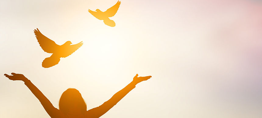 ¿Qué harías por tener un minuto de paz?