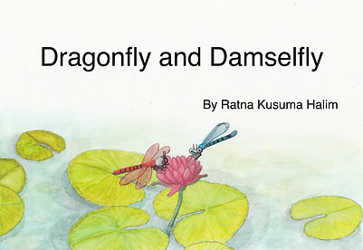 Dragonfly and Damselfly