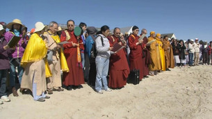 Buddhist Horsehoe Crab Rescue and Blessing: Dharma Assembly