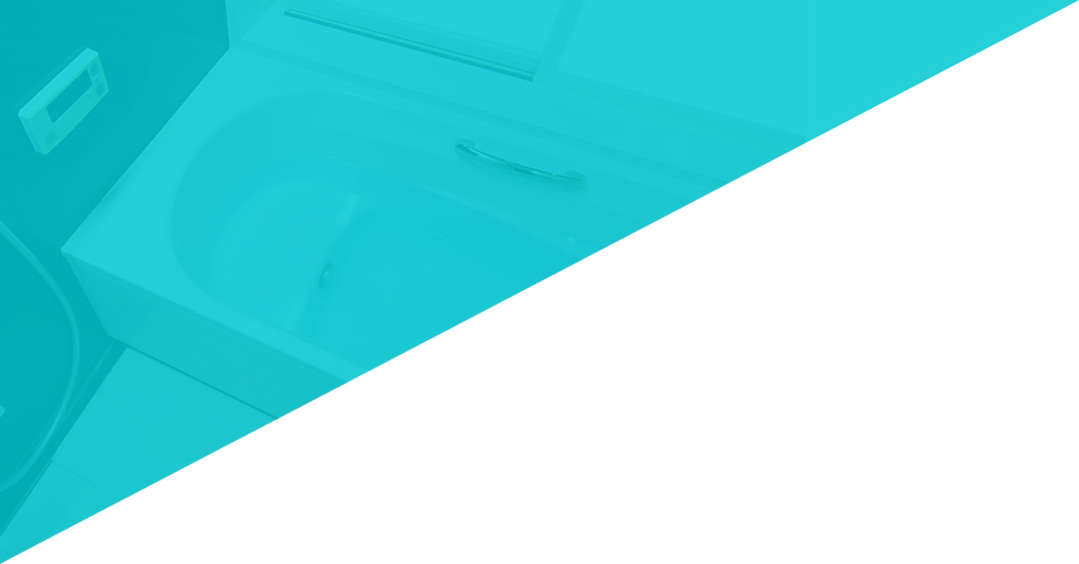 MV-bg-p.png