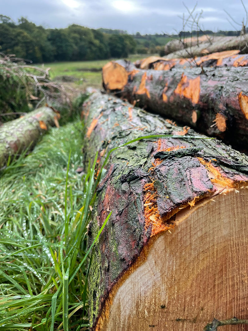 Photo 05-10-2022, 10 21 48.jpg