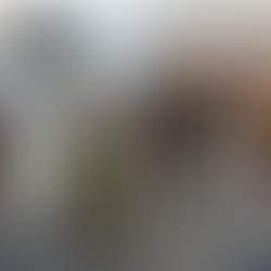 Termite, Moisture, and Water Damage: Remodeling as Your Deepest Structural Audit