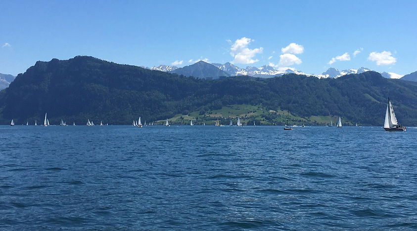 see-5.jpg