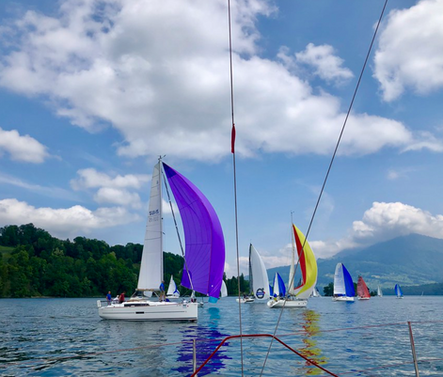 Regatta Startfeld Luzernerbecken