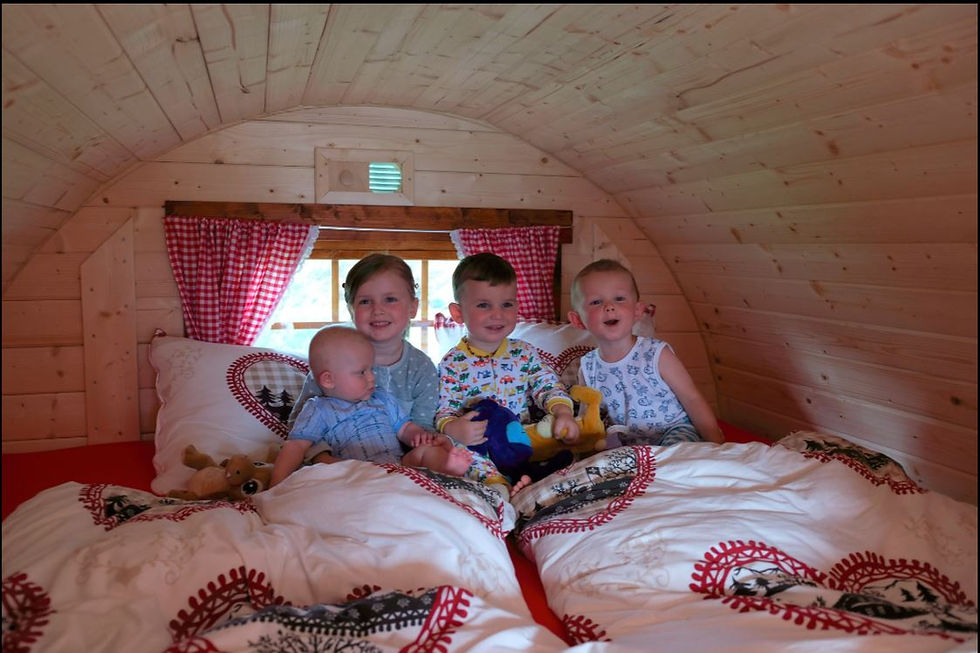 Thumbnail: BaltoScandia L Family Glamping Barrel 2.2 x 4.4m