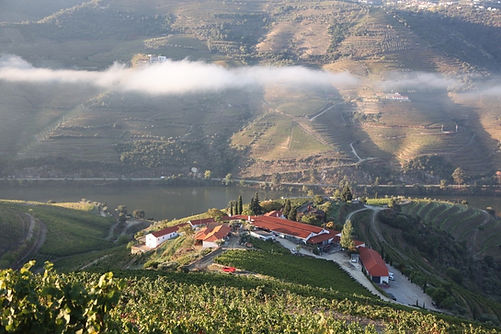Quinta Nova de Nossa Senhora do Carmo - Pinhao, Portugal
