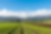 AdobeStock_265379144_edited.png